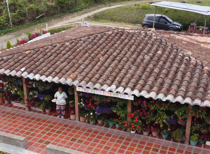 Tour de Flores y Silleteros en Medellín