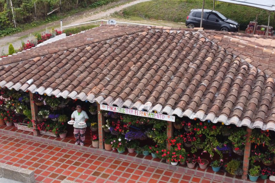 Tour Silleteros Compartido