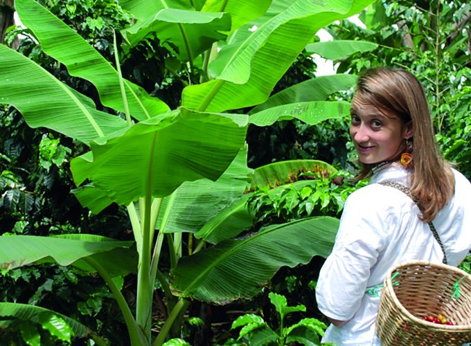 Tour del Café Medellín