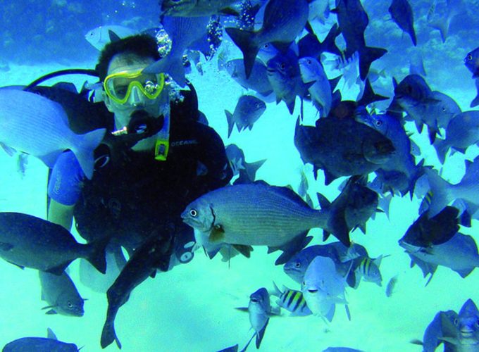 Amanecer Con Navegación A Vela – Regular – San Andrés